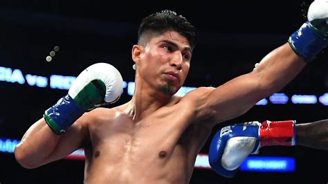 mikey garcia stats|Boxer Mikey Garcia retires with 40.